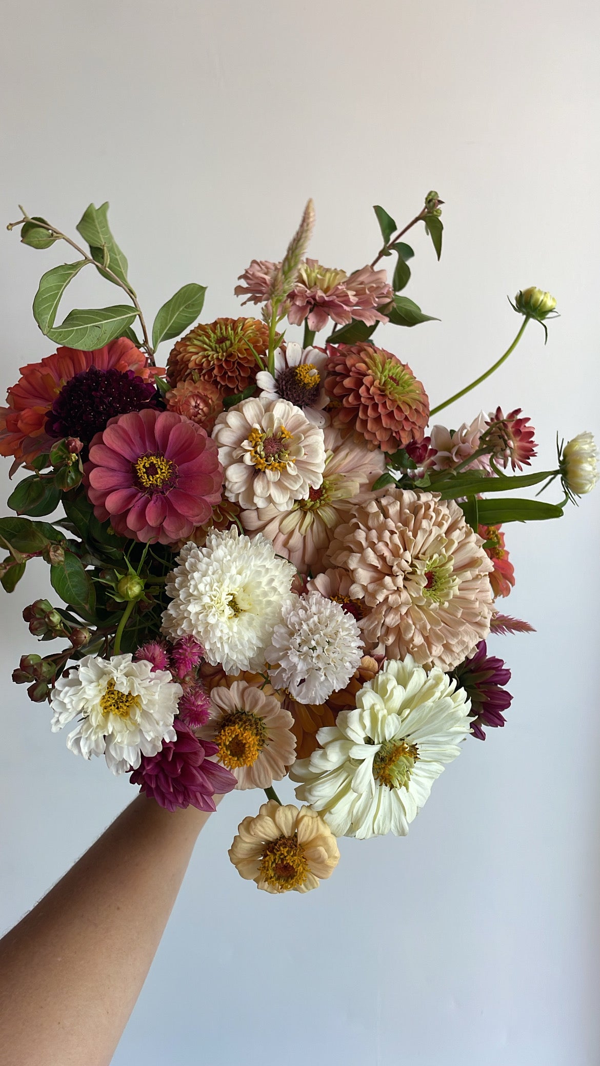510 Flower Club - Summer Edition