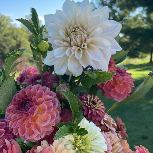 Summer Wrapped Bouquet