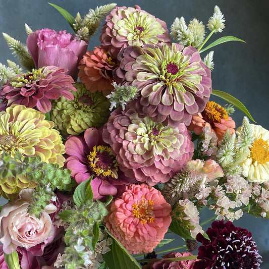 A vibrant, multicolored bouquet of freshly harvested flowers, including pink, yellow, white, and burgundy zinnias with green foliage, held by a hand against a gray concrete floor.